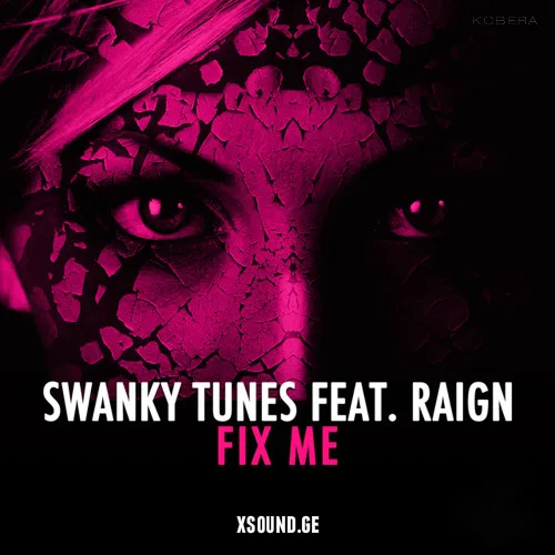 Artwork for Raign ft. Swanky Tunes - Fix Me